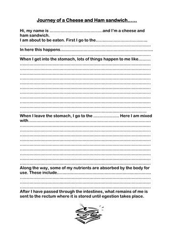 The journey of a ham and cheese sandwich essay 08 image