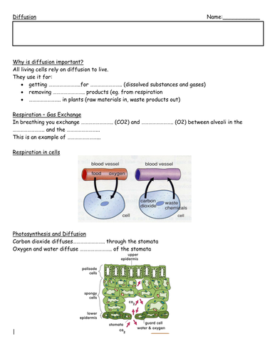 Diffusion and Osmosis unit | Teaching Resources