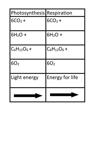 Respiration Unit | Teaching Resources