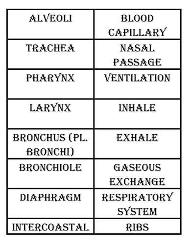 Respiration Unit | Teaching Resources