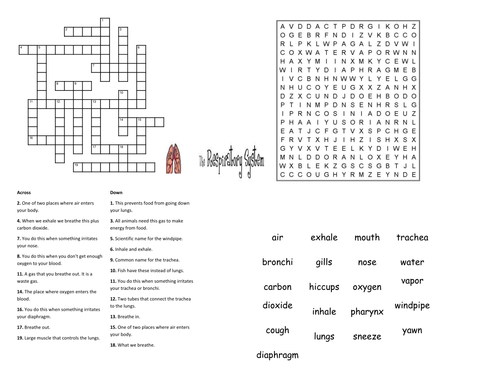 Respiration Unit | Teaching Resources