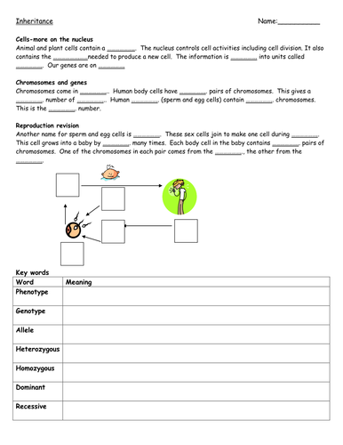 Inheritance Unit | Teaching Resources