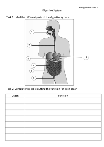 revision sheets for year 9 teaching resources