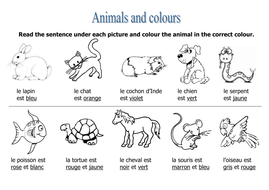 Animals colours worksheet Teaching Resources