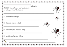 Minibeast sentence practise | Teaching Resources