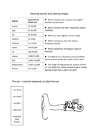 Sound and Hearing worksheet by hanmphillips - UK Teaching Resources - TES