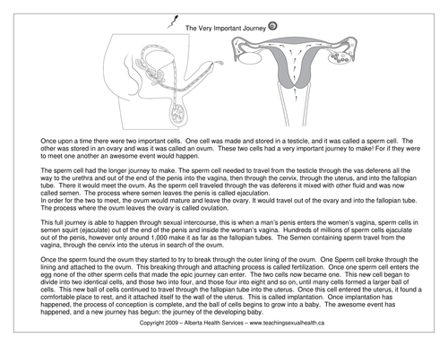 Fertilisation Lesson By Hephelumps Teaching Resources Tes