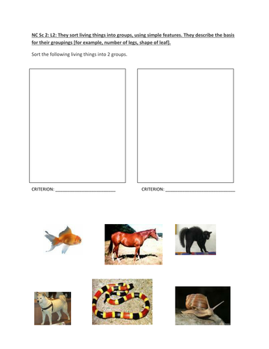 APP sorting animals assessment | Teaching Resources