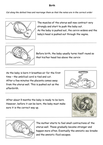 Birth | Teaching Resources