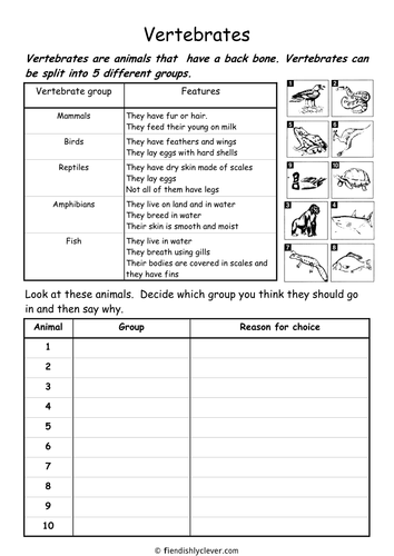 Vertebrates | Teaching Resources