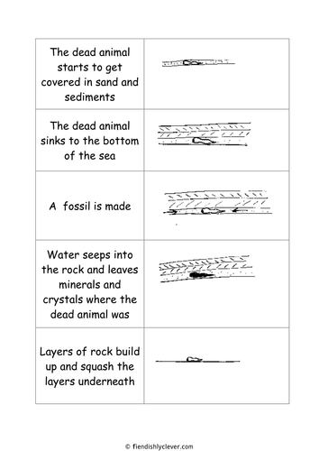 How a Fossil is Made | Teaching Resources