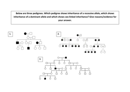 34 Pedigrees Practice Worksheet Answers - Worksheet Project List