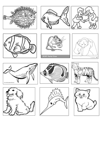 Mammals and Fish | Teaching Resources