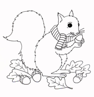 Autumn - Squirrel Colouring Page | Teaching Resources