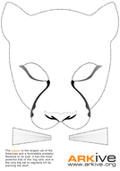 Halloween Masks | Teaching Resources