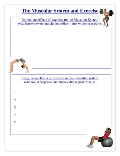 Muscular System Worksheets | Teaching Resources