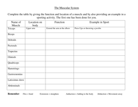 Worksheet Functions of skeletal muscles.doc (32 KB, Microsoft Word)