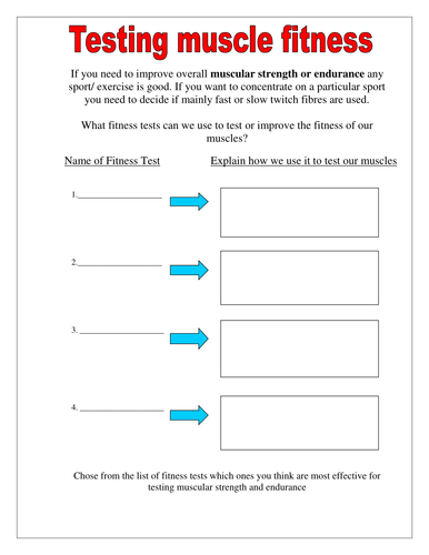 Muscular System Worksheets | Teaching Resources