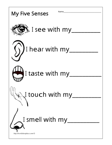 Five senses activities for year 1 image