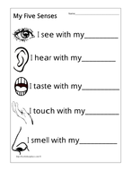 Senses, Hearing, Sight, Taste, Smell, Touch by lizzie30590 | Teaching ...