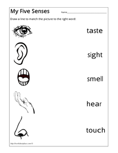 1  year senses Hearing,  lizzie30590 five UK Sight, Senses, Taste, by worksheet Touch  Smell,