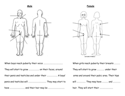 differentiated puberty body changes worksheets by fairykitty teaching