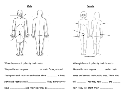 differentiated puberty body changes worksheets teaching resources