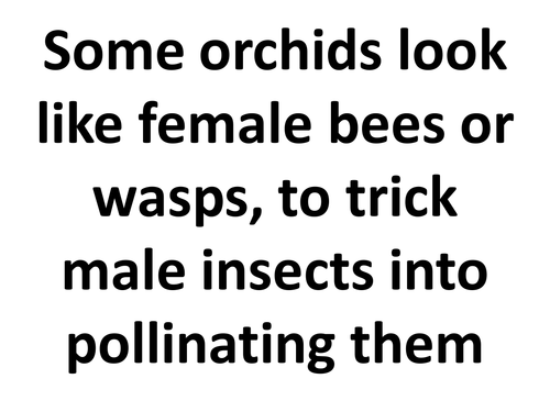 Science Fact Of The Week Posters Set 1 Teaching Resources