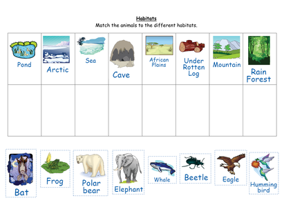 worksheet their  Match  to groups   animals  Resources the animal habitats ks1 TES