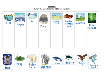 their  worksheets TES ks1 to habitats animal  animals Match Resources the  habitats
