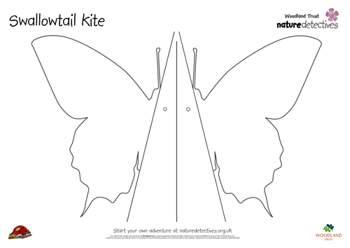 Kites - Butterflies | Teaching Resources