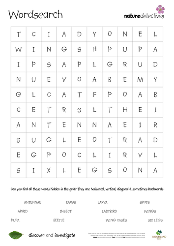 wordsearch teaching resources