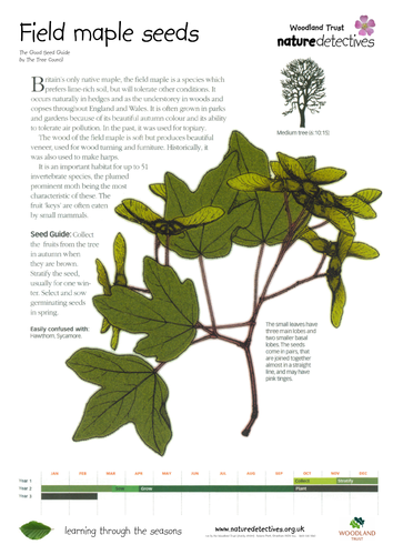 Planting - Collecting and Planting Seeds | Teaching Resources