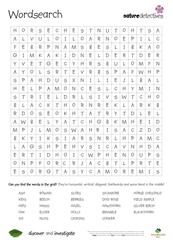 word searches teaching resources
