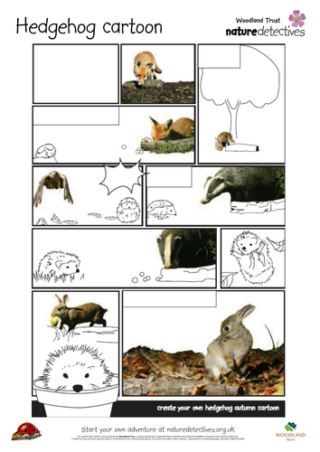 Hedgehog - Cartoon | Teaching Resources