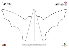 Bat Kite | Teaching Resources