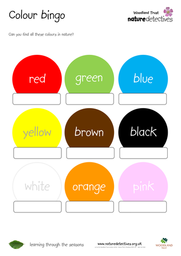 Colour Bingo | Teaching Resources