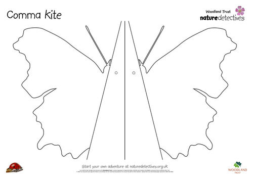 Make a butterfly kite | Teaching Resources