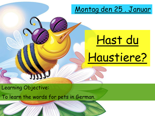 ppt, 1.3 MB