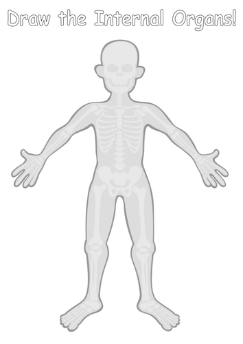 human body organs worksheet teaching resources