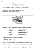 Teeth Worksheet | Teaching Resources