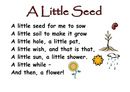 poems plants seeds ks1 poem kindergarten seed preschool plant planting garden themed spring growth tes resources song flower teaching cloudfront