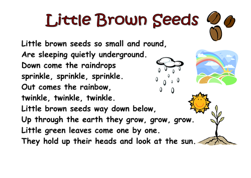 grade poems english 5 for KS1 plants seeds Poems by  and  Resources Themed  Teaching kCOATES