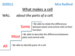 Animal & Plant cell structure - Year 7 | Teaching Resources