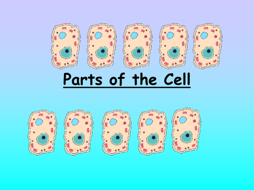 Parts of the Cell | Teaching Resources
