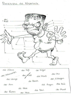 Der Korper Teaching Resources