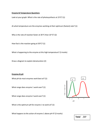 docx, 14.9 KB