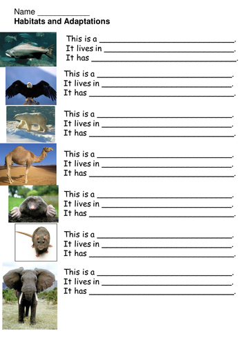 2nd grade worksheet adaptations animal by mininin Resources Animal  TES Teaching   adaptations