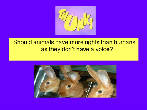 Animal rights questions (Thunks) - starters | Teaching Resources