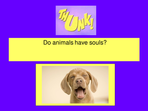 Animal rights questions (Thunks) - starters | Teaching Resources